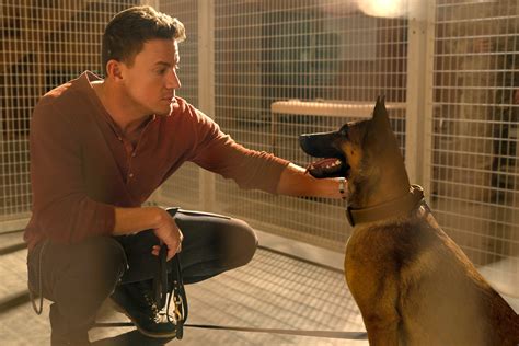 Is Channing Tatum's movie Dog based on a true story? | The US Sun