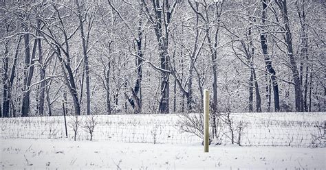 Kentucky Winter Weather Proving to be a Roller Coaster Ride, So Far - Kentucky Farm Bureau