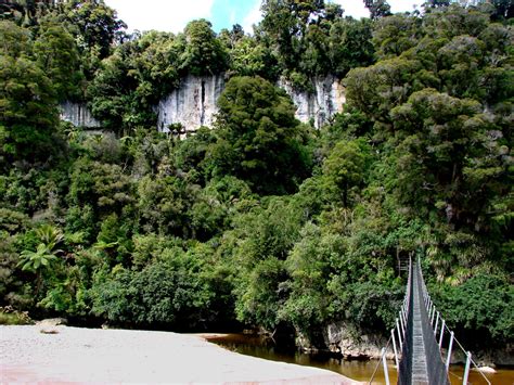 Heaphy Track Photos | Hiking NZ