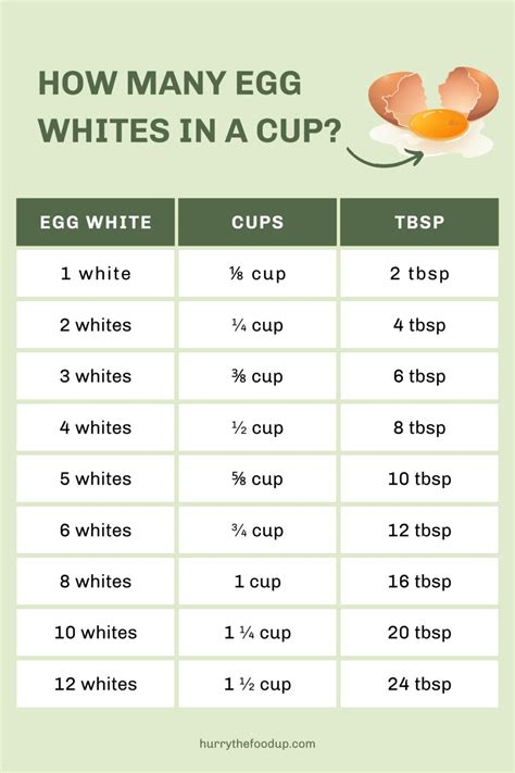 Protein in 1 Egg White