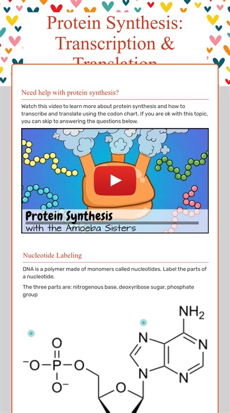 Protein Synthesis: Transcription & Translation | Interactive Worksheet by Danielle McKenzie ...