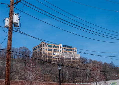 NEW SAVANNA: Up in the sky [Hoboken sun trees]