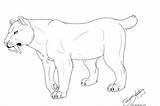 Sabertooth Tiger Coloring Pages  Learny Kids sketch template