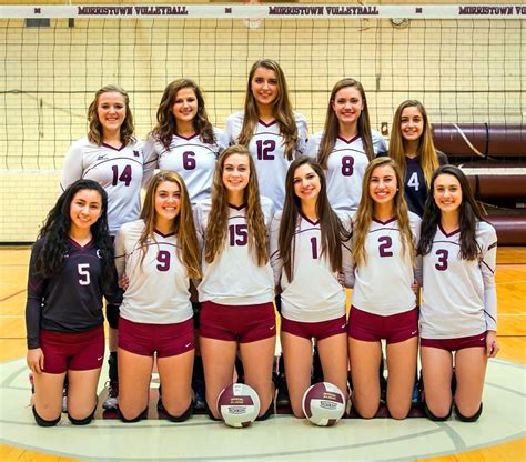 Morristown volleyball team posted second straight division championship | Morris NewsBee Sports ...