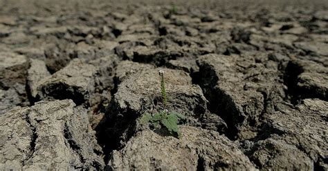 Worst drought in 40 years in Sri Lanka leaves villagers hungry and struggling for work