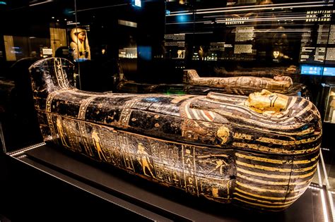 7 Reasons to Experience the Royal BC Museum’s Egypt Exhibit | Clipper Vacations Magazine