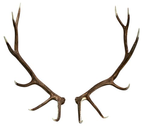 Stag Antlers - ClipArt Best