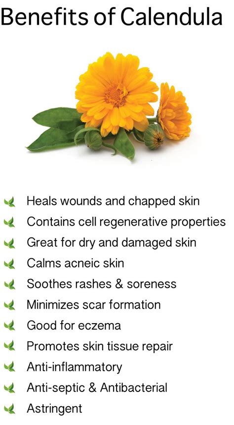 Benefits of Calendula. Also known as Marigold #Saiva #Saivanaturals # ...