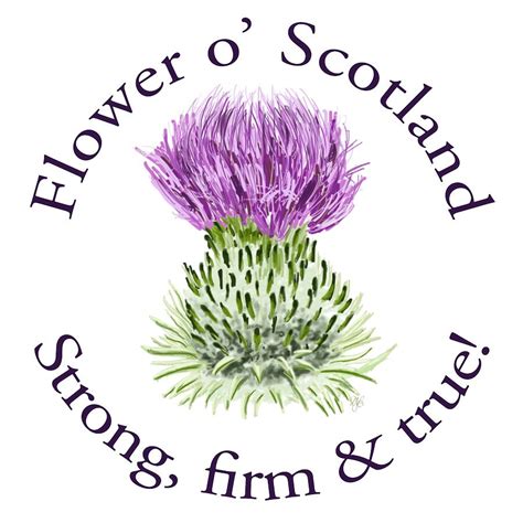 Flower of Scotland Strong firm and true Digital Art by David Brodie ...