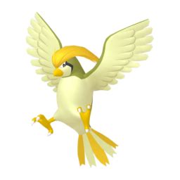 Pidgeotto sprites gallery | Pokémon Database