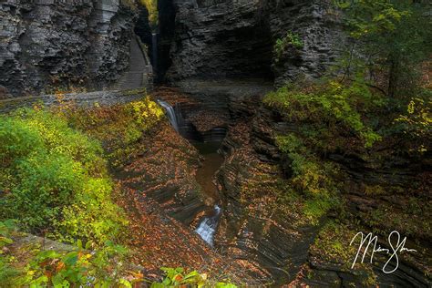 Watkins Glen Autumn Colors | Watkins Glen State Park, NY | Mickey Shannon Photography