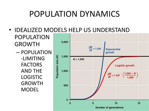 PPT - POPULATION DYNAMICS PowerPoint Presentation, free download - ID:2108099