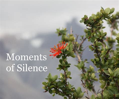 Moments of Silence by Nancy J. Pinson | Blurb Books