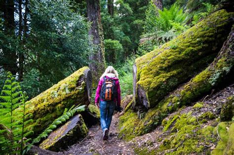 Traveller stories: Hiking in Cradle Mountain NP | Australia Outback Yarns