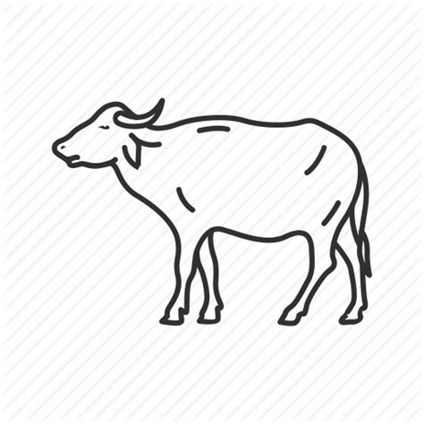 Carabao Drawing at GetDrawings | Free download