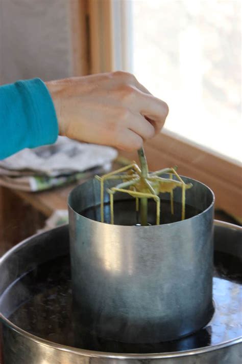 Making Beeswax Candles at Home | Homestead Honey