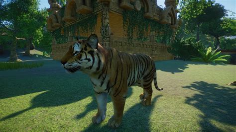 Bengal Tiger Remaster at Planet Zoo Nexus - Mods and community