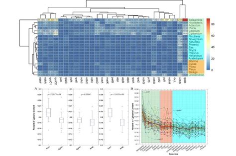 Study unveils mysterious nature of RNA editing in plants