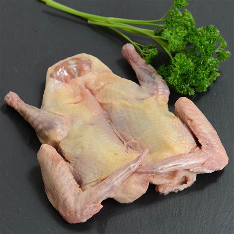 Whole Squab by Broadleaf Game | All Natural Squab for Sale