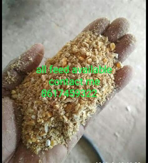 Broiler,Kroiler,layer all type poultry feed supplement. at Rs 1600/kg ...