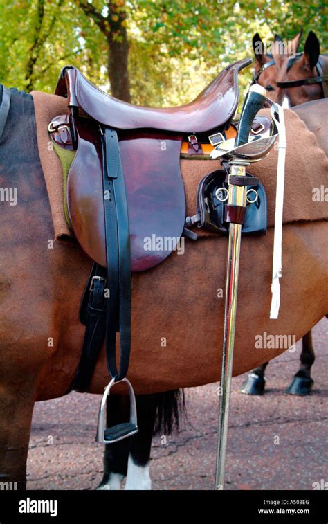 Horse at Remembrance Day 2006 in London Stock Photo - Alamy