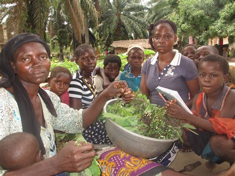 Democratic Republic of Congo — Refugees International