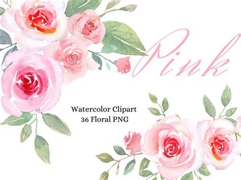 Watercolor Pink Rose Clipart Blush Pink Floral Rose Clipart - Etsy