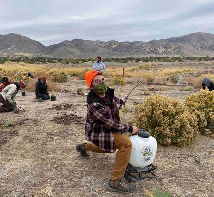 Truckee Meadows Parks Foundation – Nevada Volunteers