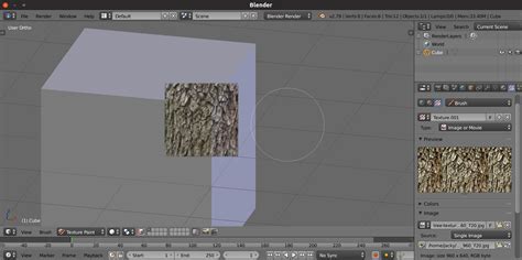 [SOLVED] How are textures projected onto 3d models in texture painting ...