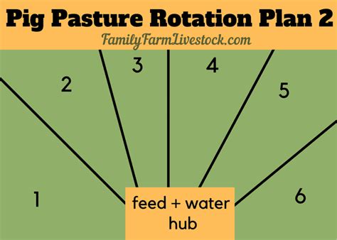 How Many Pigs On 5 Acres? (With Pasture Rotation Plan) – Family Farm Livestock