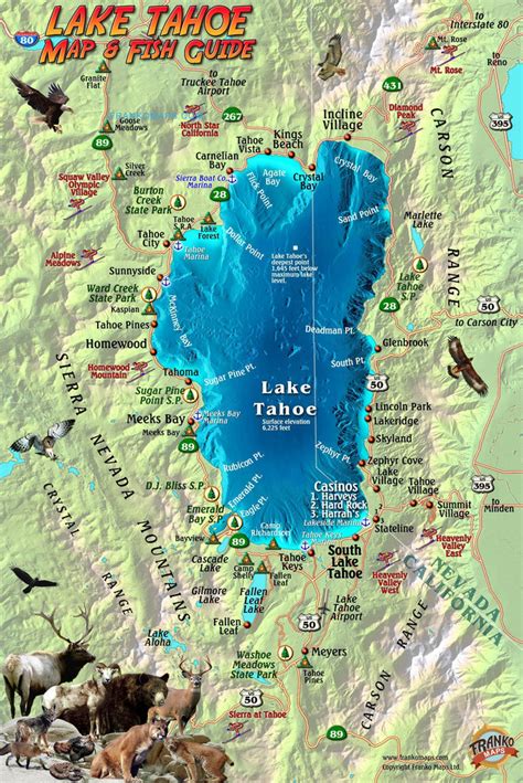 Lake Tahoe Guide & Fish Card – Frankos Maps