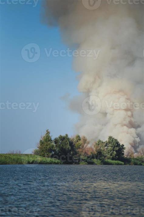 Large clouds of smoke, fire in nature. 4889053 Stock Photo at Vecteezy