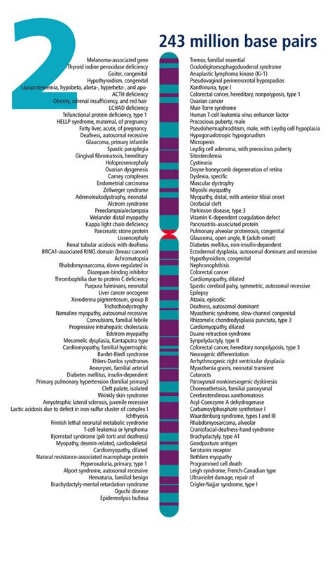 SPIRITUALITY SCIENCE – HUMAN EVOLUTION – Bhavanajagat