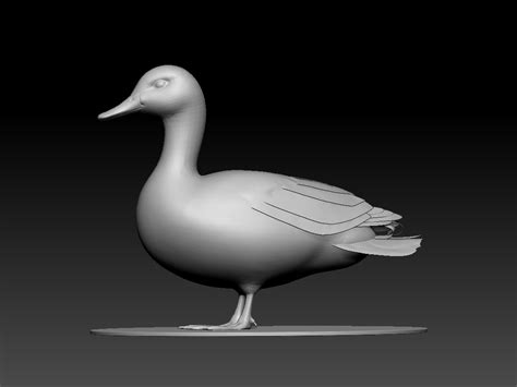 STL file Duck 🦆・3D printer model to download・Cults