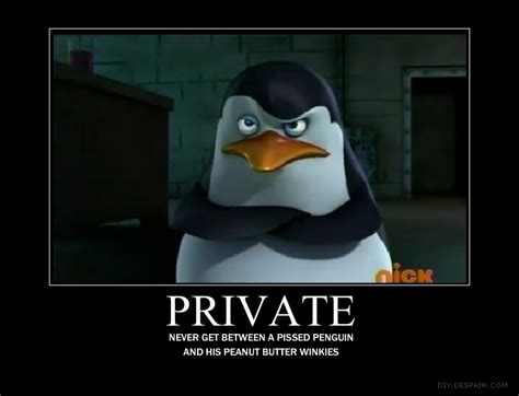 Private Motivator - Penguins of Madagascar Fan Art (19380547) - Fanpop