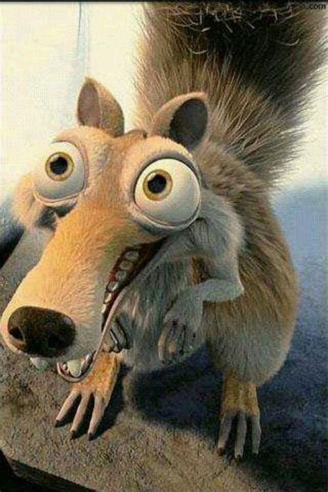 Scrat the squirrel from ice age movies | Funny wallpapers, Animated ...