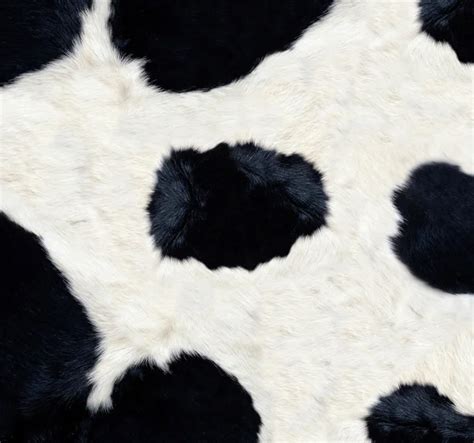 Cow skin background — Stock Photo © ldambies #2857021