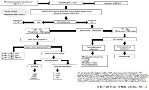 Fai strada disprezzare antenna metabolismo del calcio pdf loro azoto professoressa