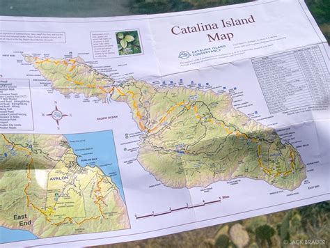 Catalina Island Map photo | Catalina, Island map, Catalina island