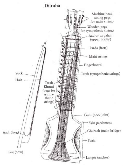 Dilruba / Esraj - India Instruments