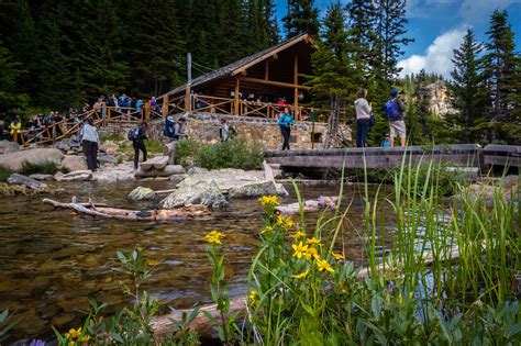 Lake Agnes Tea House Hike - All the Info You Need - The Banff Blog