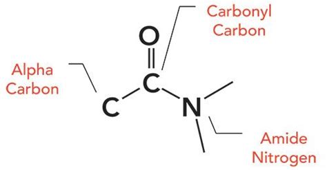 Nitrogen Functional Groups Organic Chemistry