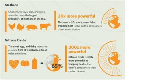 How a Plant-Based Diet Can Impact Our Environment – RefillMyBottle