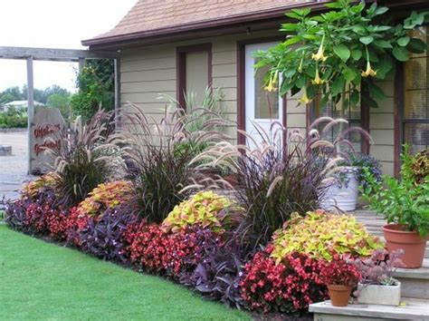 Image result for purple fountain grass | Colorful landscaping, Front yard landscaping design ...