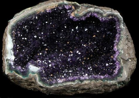 8.8" Dark Amethyst Crystal Geode - Top Quality For Sale (#36907) - FossilEra.com