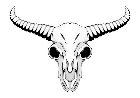 Ram Skull Drawing | Free download on ClipArtMag