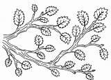Coloring Page Twig With Leaves Stock Illustration  Download Image Now sketch template