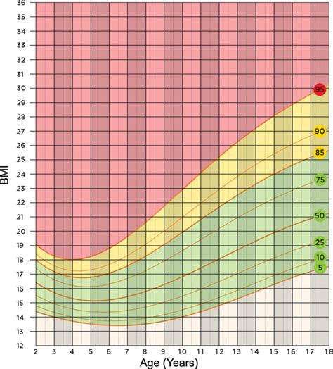 Weight Scale Chart - Herbs and Food Recipes