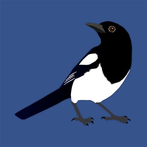 Magpie Vector at Vectorified.com | Collection of Magpie Vector free for personal use