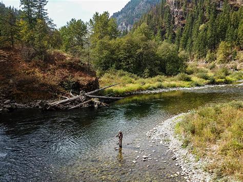 Fly Fishing The Thompson River in NW Montana - Fly Fishing Waters